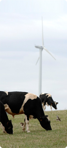 garvary wind farm